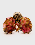 Orchid Claw by CHUNKS