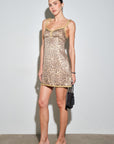 Katia Leopard Mini Dress