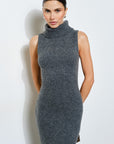 Eva Turtleneck Sweater Dress