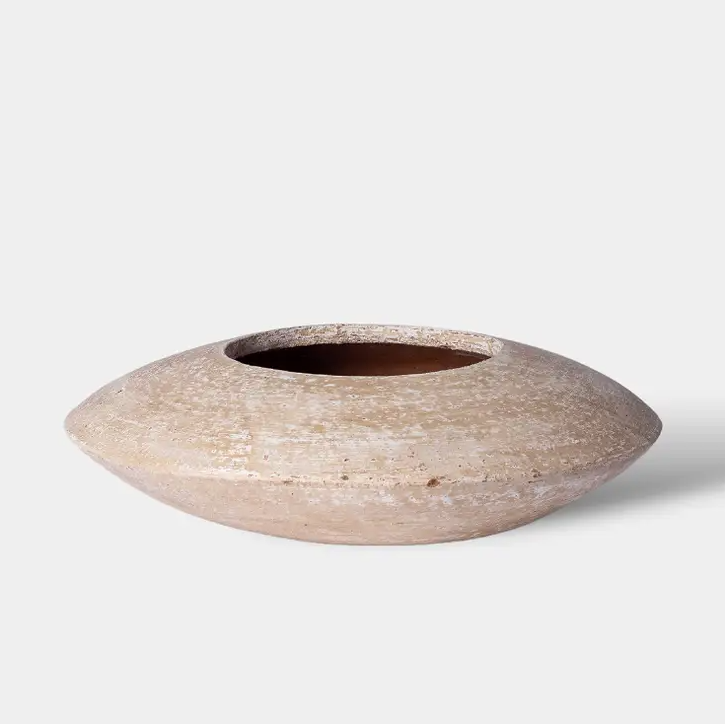 Sandollar Vase