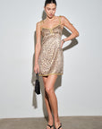 Katia Leopard Mini Dress