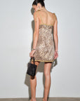 Katia Leopard Mini Dress